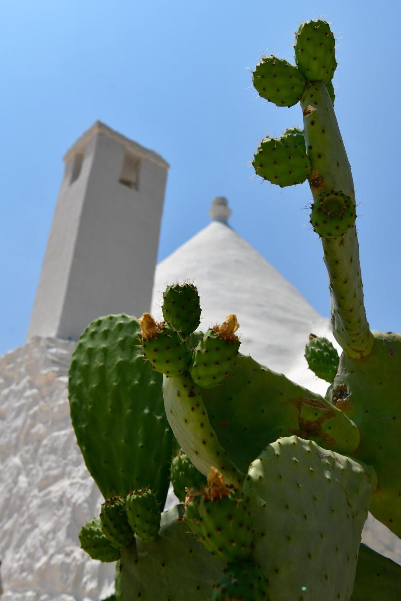 Il Trullo Bianco - Country House & Spa Castellana Grotte Buitenkant foto